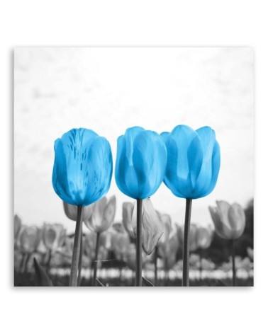 Leinwandbild - Blaue Tulpen | Feeby