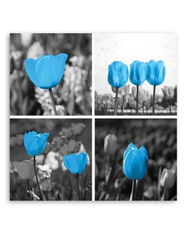 Modernes Wandbild - Satz blaue Tulpen | Feeby