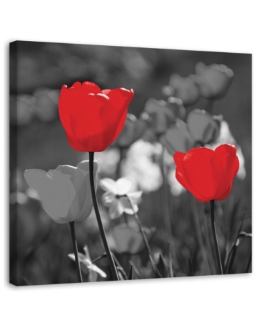 Modern Canvas painting for living room - Red tulips in grey | FEEBY