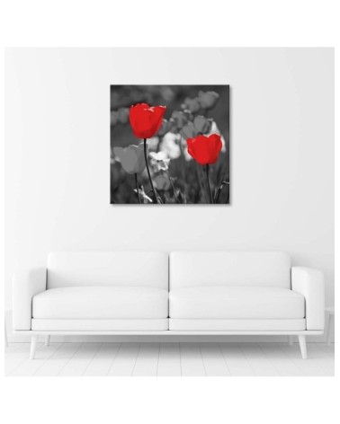 Bild auf Leinwand - Rote Tulpen in Grau | Feeby
