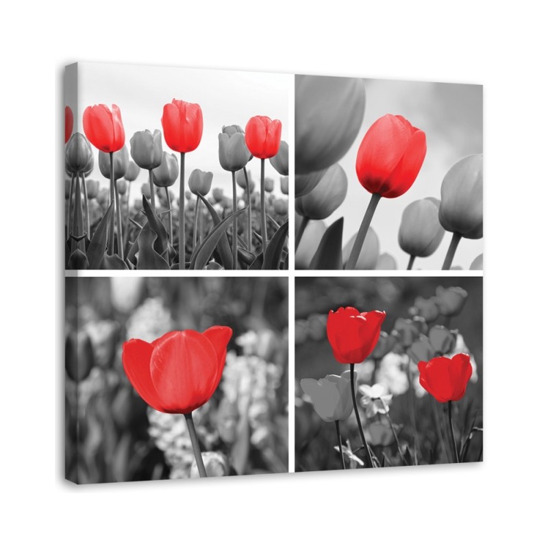 Leinwanddruck - Set aus roten Tulpen in Grau | Feeby
