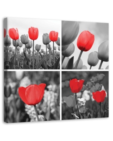 Leinwanddruck - Set aus roten Tulpen in Grau | Feeby