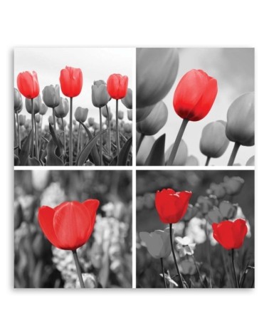 Leinwanddruck - Set aus roten Tulpen in Grau | Feeby
