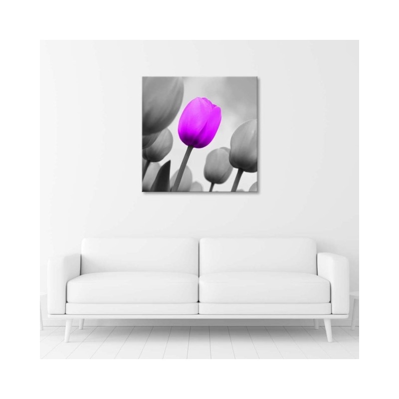 Leinwandbild - Lila Tulpe in Grau | Feeby