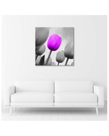 Leinwandbild - Lila Tulpe in Grau | Feeby