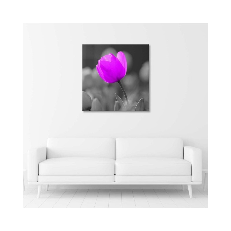 Bild auf Leinwand - Lila Tulpe | Feeby