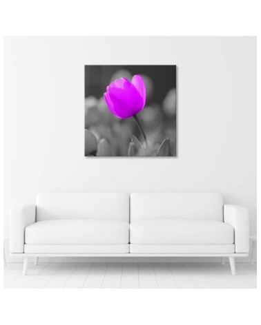 Bild auf Leinwand - Lila Tulpe | Feeby