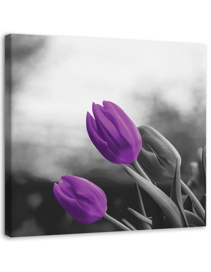 Leinwandbild modern - Zwei lila Tulpen | Feeby