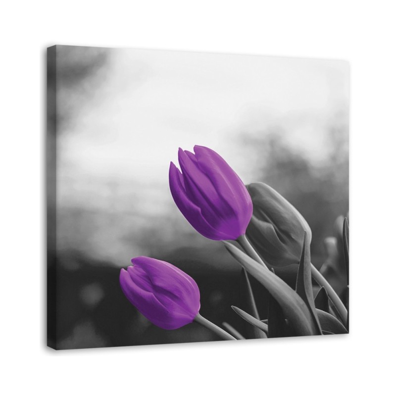 Leinwandbild modern - Zwei lila Tulpen | Feeby