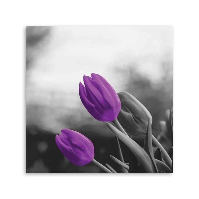 Leinwandbild modern - Zwei lila Tulpen | Feeby