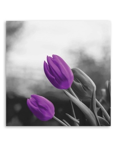 Leinwandbild modern - Zwei lila Tulpen | Feeby