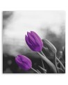 Dwa fioletowe tulipany - Nowoczesny obraz do sypialni | FEEBY