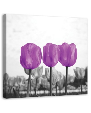 Purple tulips nature - Modern bedroom Canvas painting. High quality  | FEEBY