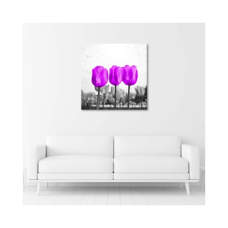Leinwandbild - Lila Tulpen | Feeby