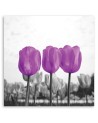 Fioletowe tulipany natura - Obraz do sypialni nowoczesny | FEEBY