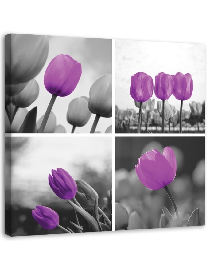 Bild auf Leinwand - Satz lila Tulpen | Feeby
