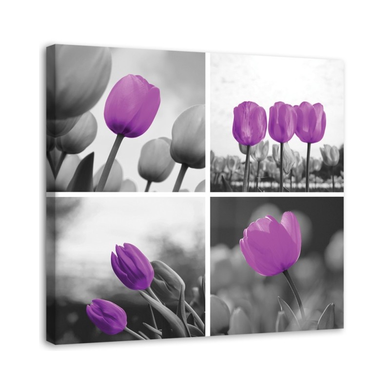 Bild auf Leinwand - Satz lila Tulpen | Feeby