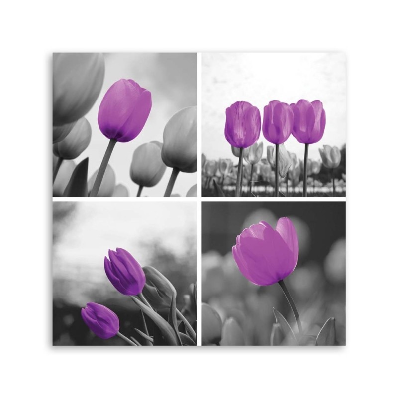 Bild auf Leinwand - Satz lila Tulpen | Feeby