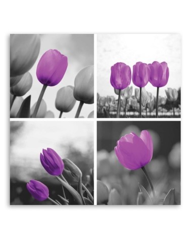 Bild auf Leinwand - Satz lila Tulpen | Feeby