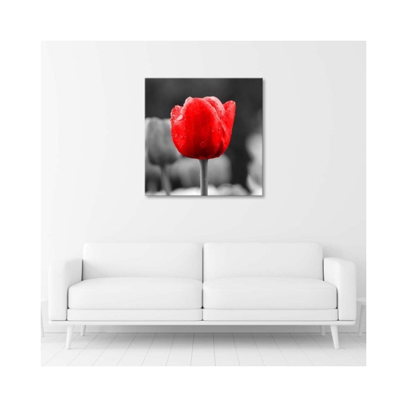 Wandbild für Wohnzimmer - Tulpe in Rot | Feeby