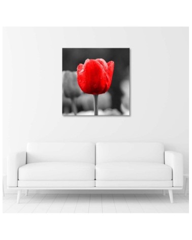 Wandbild für Wohnzimmer - Tulpe in Rot | Feeby