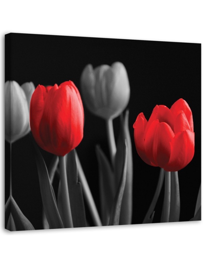 Modernes Wandbild - Rote Tulpen | Feeby