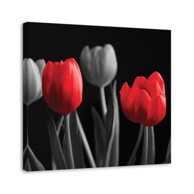 Czerwone tulipany - Obraz na płótnie canvas | FEEBY