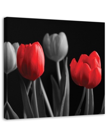 Modernes Wandbild - Rote Tulpen | Feeby