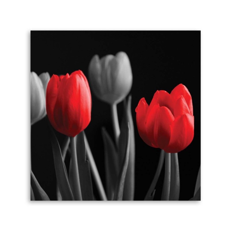 Modernes Wandbild - Rote Tulpen | Feeby