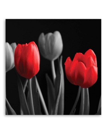 Modernes Wandbild - Rote Tulpen | Feeby