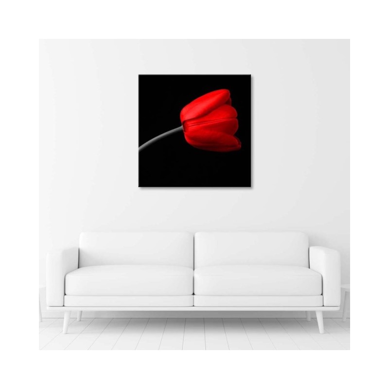 Dekoratives Leinwandbild - Rote Tulpenblüte | Feeby