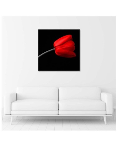 Dekoratives Leinwandbild - Rote Tulpenblüte | Feeby