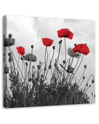 Leinwandbild - Rote Mohnblumen | Feeby