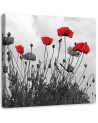 Red poppy flowers nature - Canvas prints for living room | FEEBY