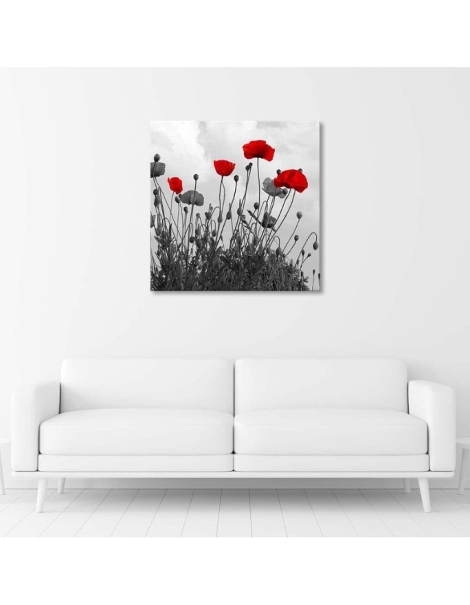 Red poppy flowers nature - Canvas prints for living room | FEEBY