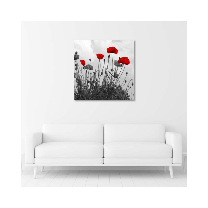 Leinwandbild - Rote Mohnblumen | Feeby