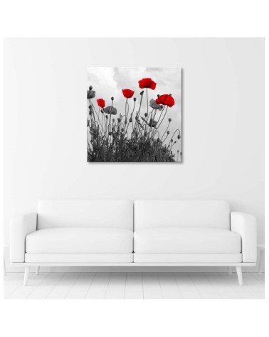 Leinwandbild - Rote Mohnblumen | Feeby