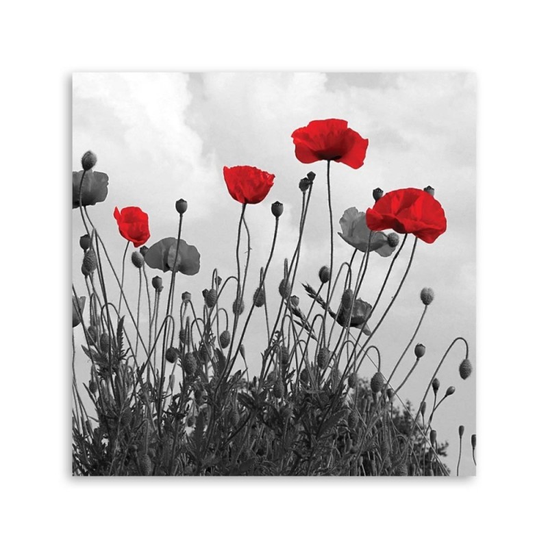 Leinwandbild - Rote Mohnblumen | Feeby