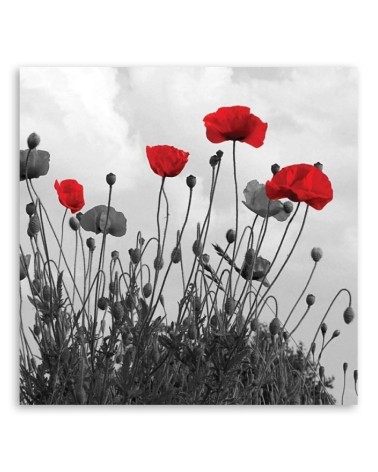 Leinwandbild - Rote Mohnblumen | Feeby