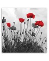 Red poppy flowers nature - Canvas prints for living room | FEEBY