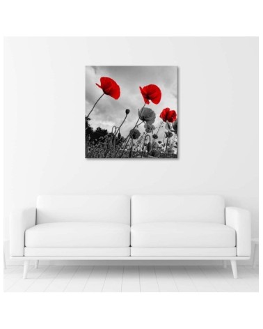 Modernes Wandbild - Mohnblumen auf einer Wiese | Feeby