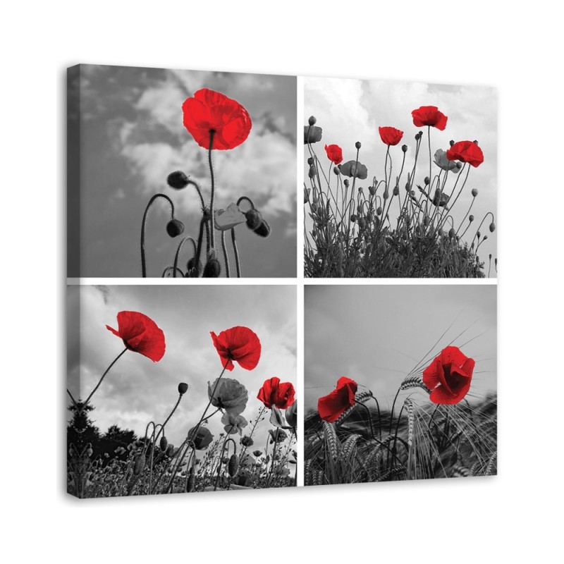 Bild auf Leinwand - Rote Mohnblumen | Feeby