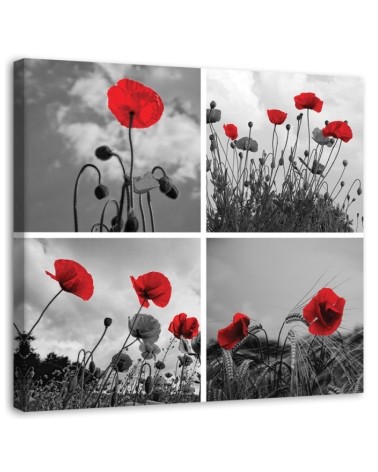 Canvas painting - Red poppies | FEEBY
