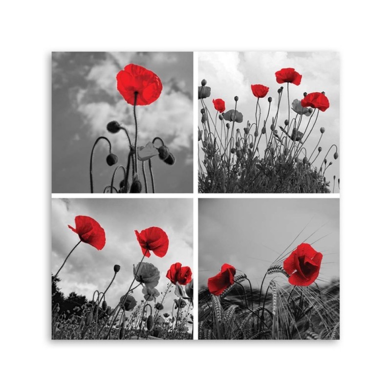 Bild auf Leinwand - Rote Mohnblumen | Feeby