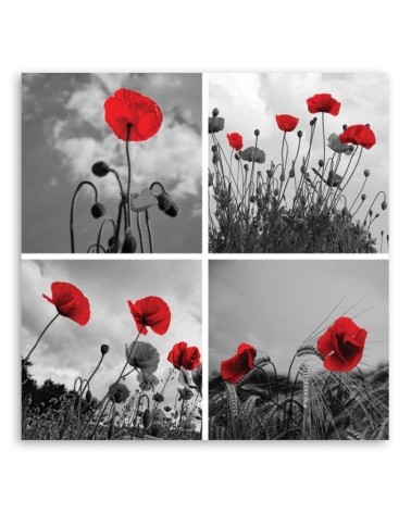 Bild auf Leinwand - Rote Mohnblumen | Feeby