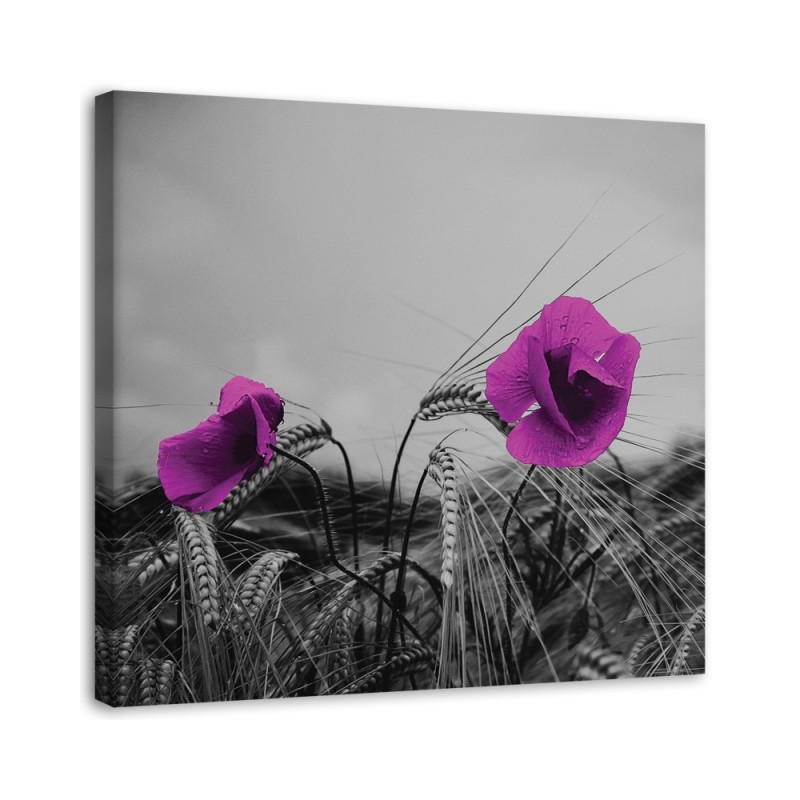 Leinwanddruck - Lila Mohnblumen und Mais | Feeby