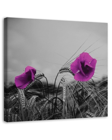 Leinwanddruck - Lila Mohnblumen und Mais | Feeby