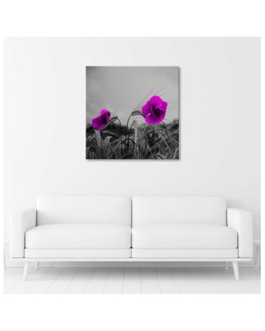 Leinwanddruck - Lila Mohnblumen und Mais | Feeby