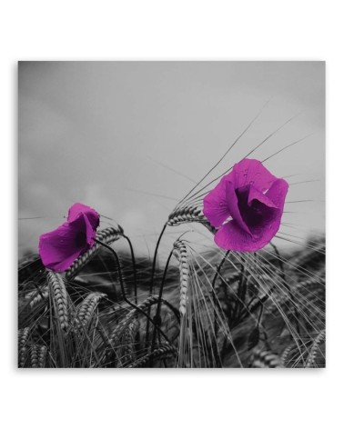 Leinwanddruck - Lila Mohnblumen und Mais | Feeby