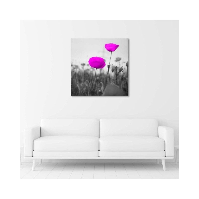 Leinwandbild - Lila Mohnblumen auf der Wiese | Feeby